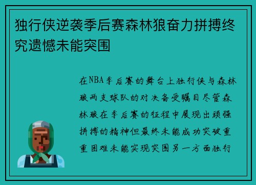 独行侠逆袭季后赛森林狼奋力拼搏终究遗憾未能突围